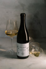 Load image into Gallery viewer, A case of Anysbos DisDit 2021