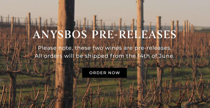 Disdit 2020 & Tesame 2019 Pre-release by Wine Cellar